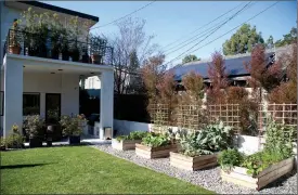  ?? The Associated Press ?? This photo provided by Farmscape shows a backyard vegetable garden in Los Angeles.