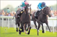  ??  ?? FLYING: Snow Sky, left, will take over from Flintshire as Khalid Abdullah’s big race hope