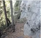  ??  ?? Part of a dead tree landed on three climbers Tuesday at the bottom of Outhouse Wall near Lake Louise, Alta.