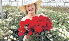  ?? Picture: BARBARA HOLLANDS ?? WELL ARMED: Murambi Roses owner Barbara Allen have been hard at work for Valentine’s Day