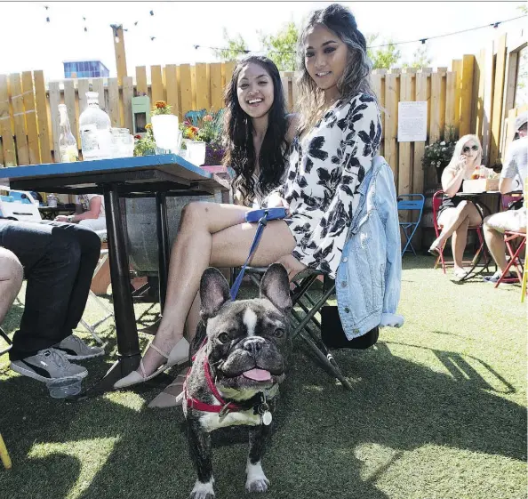  ?? GREG SOUTHAM ?? Tina Buenviaje and her dog Hershey relax with friend Emy Pineda on Friday on the patio at El Cortez.