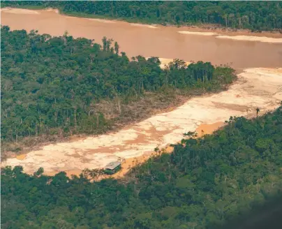 ?? / Alianza para la Reducción de Impactos de la Minería de Oro ?? Imagen aérea del río Puré, en la frontera entre Colombia y Brasil.