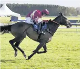  ??  ?? Top Beer Goggles win at Ayr in April. Below King of Fashion can be followed