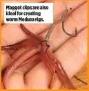  ??  ?? Maggot clips are also ideal for creating worm Medusa rigs.