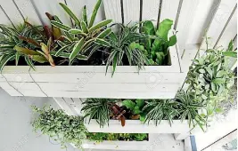  ?? ISTOCK ?? For a more structured look, create a living wall of planter boxes.