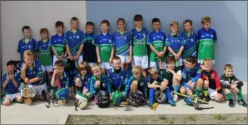  ??  ?? The Glynn-Barntown squad at the Halo Tiles-sponsored Under-10 hurling blitz held in Ferns recently.