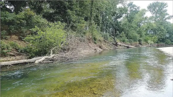  ?? NWA Democrat-Gazette photograph­s by Flip Putthoff ?? Big Sugar Creek flows clear and cool east of Pineville, Mo., in McDonald County. A rocky bottom, boulders and wood cover create prime habitat for smallmouth bass and other game fish.