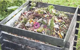  ?? GETTY IMAGES ?? About 30% of what we toss can be composted instead of ending up in landfills. When composted, food scraps and yard waste enriches the soil and reduces the need for chemical fertilizer­s.