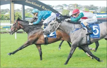  ?? Photo / Trish Dunell ?? Cutadeel proved too tough for his rivals in the Listed Barfoot &amp; Thompson 3YO Salver at Ellerslie.