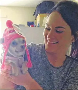  ??  ?? Brydee Hill with her pet chihuahua Bailey who has been returned after being stolen during a burglary