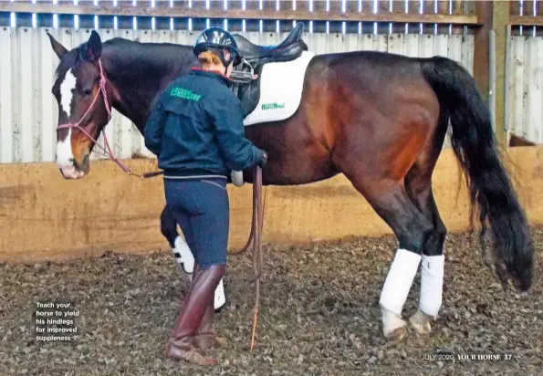  ??  ?? Teach your horse to yield his hindlegs for improved suppleness