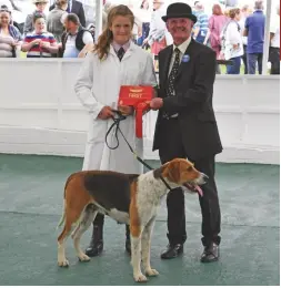  ??  ?? Patrick Martin judged the young handler class — here he presents the West Percy’s Ruby Wyld with her winner’s rosette