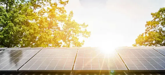 Record for solar power in Germany: Why expansion in North Rhine-Westphalia is nevertheless stagnating
