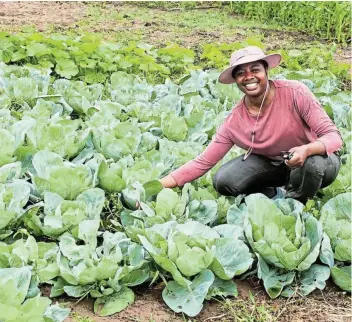  ?? Picture: SUPPLIED ?? TOPICAL MATTER: Rhodes University environmen­tal science graduate Ruwimbo Mutirwara is appealing to the Port Alfred public to assist with her doctoral research into community and vegetable gardens.