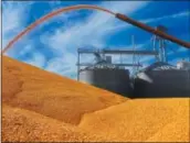  ?? SETH PERLMAN — THE ASSOCIATED PRESS FILE ?? Central Illinois farmers deposit harvested corn on the ground outside a full grain elevator in Virginia, Ill.