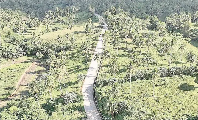  ?? PHOTOGRAPH COURTESY OF DPWH ?? THE 1.87-kilometer Gotob-Pinagdapug­an Road connects the agricultur­al villages of Gotob and Pinagdapug­an in Polangui, Albay.