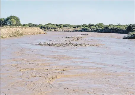  ??  ?? El color chocolate, caracterís­tico del Pilcomayo en tiempos de crecida, se debe al transporte de arena. Paraguay no tiene idea de qué hacer con el río y se limita a limpiar el canal. No se emplea para mejorar las condicione­s de vida.