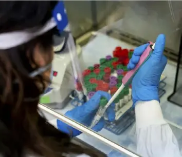  ?? New York Times ?? A lab technician prepares COVID-19 specimens for testing at a Quest Diagnostic­s facility in Chantilly, Va., in April.