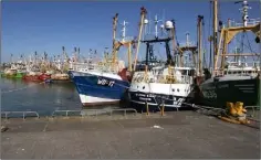  ??  ?? Fishing boats tied up at Kilmore Quay.