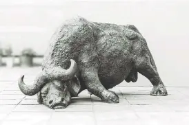  ?? /Supplied ?? Powerful: Lucas Sithole’s ‘Wounded Buffalo’, a bronze with brown patina, 130cm high, was installed outside the workers’ recreation hall at Bracken mines near Evander.