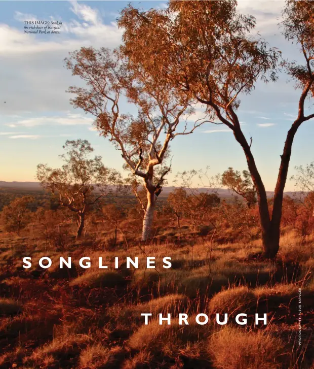  ??  ?? THIS IMAGE: Soak in the rich hues of Karijini National Park at dawn.