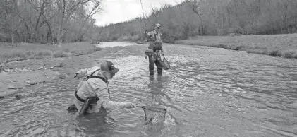  ?? PAUL A. SMITH ?? Andy Roth nets a trout for Chris Bye on the Kinnickinn­ic River in River Falls. Thanks to local efforts, two dams on the river that produced very little power but substantia­lly warmed the water are being evaluated for removal.