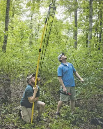  ?? BY LUKE CHRISTOPHE­R ?? OUTBACK BROADBAND Piedmont Broadband's Steven Bohannon (left) and Matt Shoemaker prepare to fire the Big Shot, a giant slingshot that fires a tethered weight over a high branch to set the climbing rope they'll need to service a customer's radio — which...