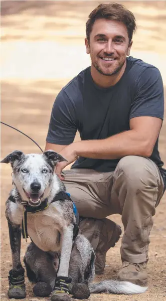  ?? Picture: Foxtel ?? DOCO STAR: Tyson Mayr with Bear, the dog that helped rescue koalas after devastatin­g bushfires throughout Australia.