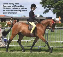  ??  ?? Olivia Varley rides four-year-old Tandridge Diplomat to 148cm victory en route to standing show pony champion