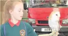  ??  ?? ● Schoolchil­dren met a barn owl at Glynllifon Farm near Llandwrog