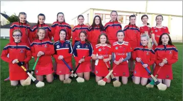  ??  ?? CARNEW:
The Aughrim camogie team who took on Carnew Emmets in the county final last Sunday.