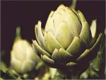  ??  ?? ARTICHOKE THRIVES in the frontyard at Robyn and Blaine McNutt’s. The couple plans to install bike racks for the tour.