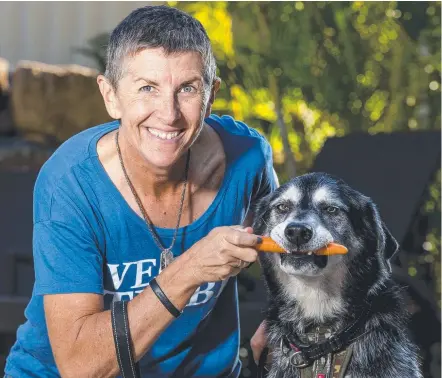  ?? Picture: JERAD WILLIAMS ?? Simone Lea feeds her husky Shelpie a vegan diet, which includes broccoli stalks and carrots as treats.