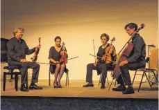  ?? FOTO: DAGMAR HUB ?? Dunkel-Konzert in Helligkeit: Der Moment der Konzentrat­ion für das Streichqua­rtett, ehe es vollständi­g dunkel wird.