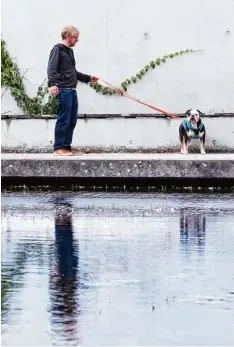  ?? Foto: Alexander Heinl, dpa ?? Bevor man sich für einen bestimmten Hund entscheide­t, ist es gut, einige Male pro beweise mit ihm Gassi zu gehen.