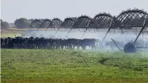  ?? MURRAY WILSON/STUFF ?? River health and the dairy industry are strongly linked, but current dairy farmers aren’t necessaril­y blameworth­y, says an Australian scientist.