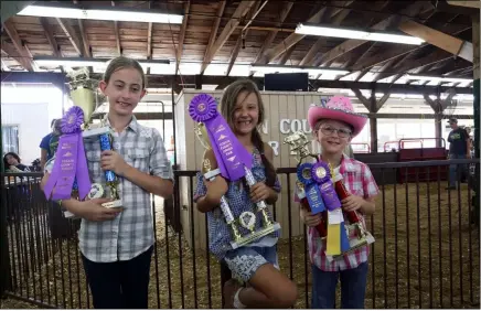  ?? ALIAH KIMBRO — THE MORNING JOURNAL ?? Youngsters help out in the Lorain County Fair.