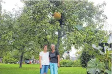  ?? FOTO: LUCA MADER ?? Hedwig Birk (links) und Renate Zell waren erstaunt, als sie einen Kürbis in einem Birnbaum entdeckten