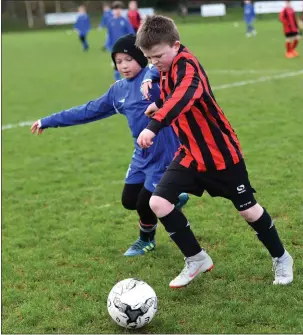 ?? Photo by Michelle Cooper Galvin ?? Brian O’Sullivan, Mastergeeh­a holding off the challenge of Gracjam Pawlak, Killarney Athletic in the Kerry Schoolboys Under 12 game at Killarney Athletic FC Grounds, Woodlawn, Killarney on Saturday