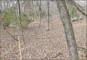  ?? (NWA Democrat-Gazette/Flip Putthoff) ?? Tree stand view at Camp See No Deer. Notice there are no deer in this picture.