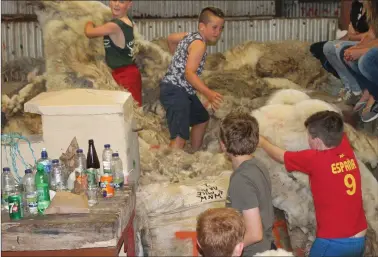  ??  ?? Playing in the wook were some of the youngest helpers at the ‘Top of Coom’ shearing on Sunday.