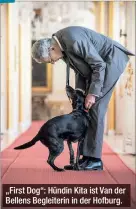  ??  ?? „First Dog“: Hündin Kita ist Van der Bellens Begleiteri­n in der Hofburg.