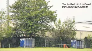  ??  ?? The football pitch in Canal Park, Butetown, Cardiff