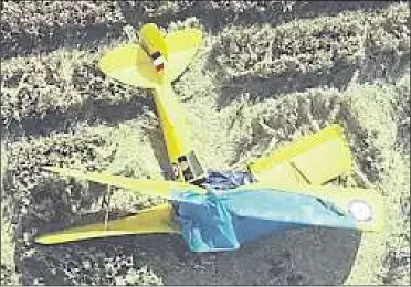  ?? Picture: Air Accidents Investigat­ion Branch ?? The Tiger Moth crashed in Postling between Ashford and Hythe in July last year, killing pilot Peter Winters