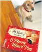  ??  ?? He may make exceedingl­y good cakes, but mince pies could prove fatal to dogs.