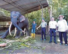  ?? PIC BY MOHD ADAM ARININ ?? Sabah Tourism, Culture and Environmen­t Minister Christina Liew (right) visiting the Lok Kawi Wildlife Park in Penampang following the deaths of two Borneo pygmy elephants there recently.