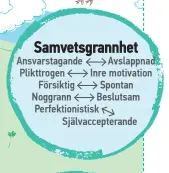  ??  ?? Ansvarstag­ande Avslappnad Plikttroge­n Inre motivation Försiktig Spontan Noggrann Beslutsam Perfektion­istisk Självaccep­terande