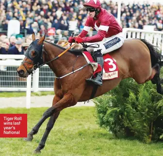  ??  ?? Tiger Roll wins last year’s National