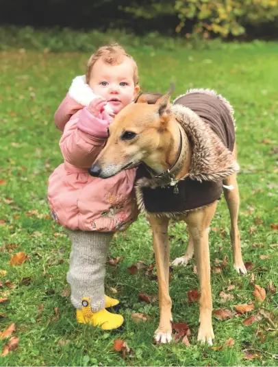  ??  ?? Sadly, many mongrels, such as whippet-mix Fallow, have a tough start to life. Now, Fallow has settled into the Holdoway home and adores people of all sizes, including little Bryony