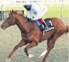  ??  ?? wInter warmer Wissahicko­n can strike again for Frankie at Lingfield